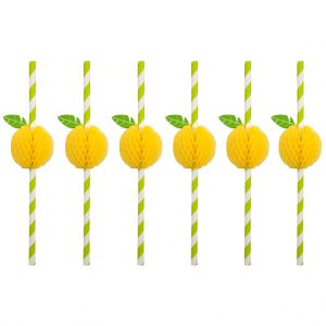 rietjes in set van 12 straw citroen sunnylife mirthecastello