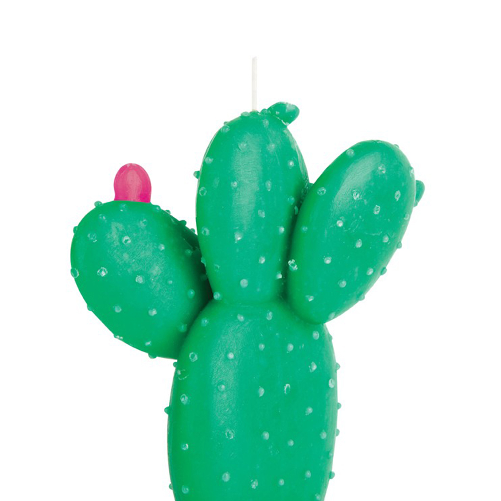 cactus kaars large