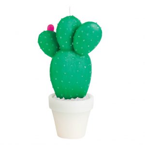 cactus kaars candel large