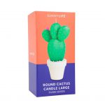 cactus kaars candel large doos verpakking