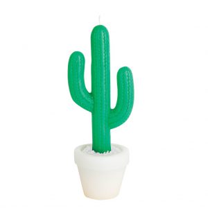 cactus kaars large western in pot