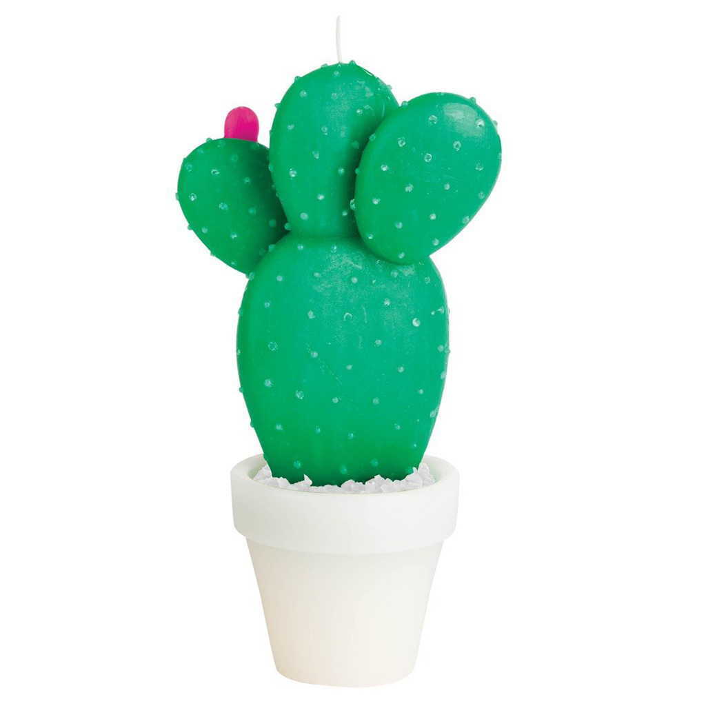 Cactus Kaars Rond Small Sunnylife